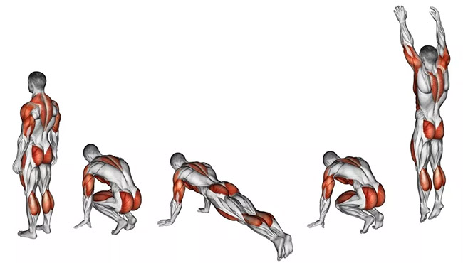 Muscoli burpees