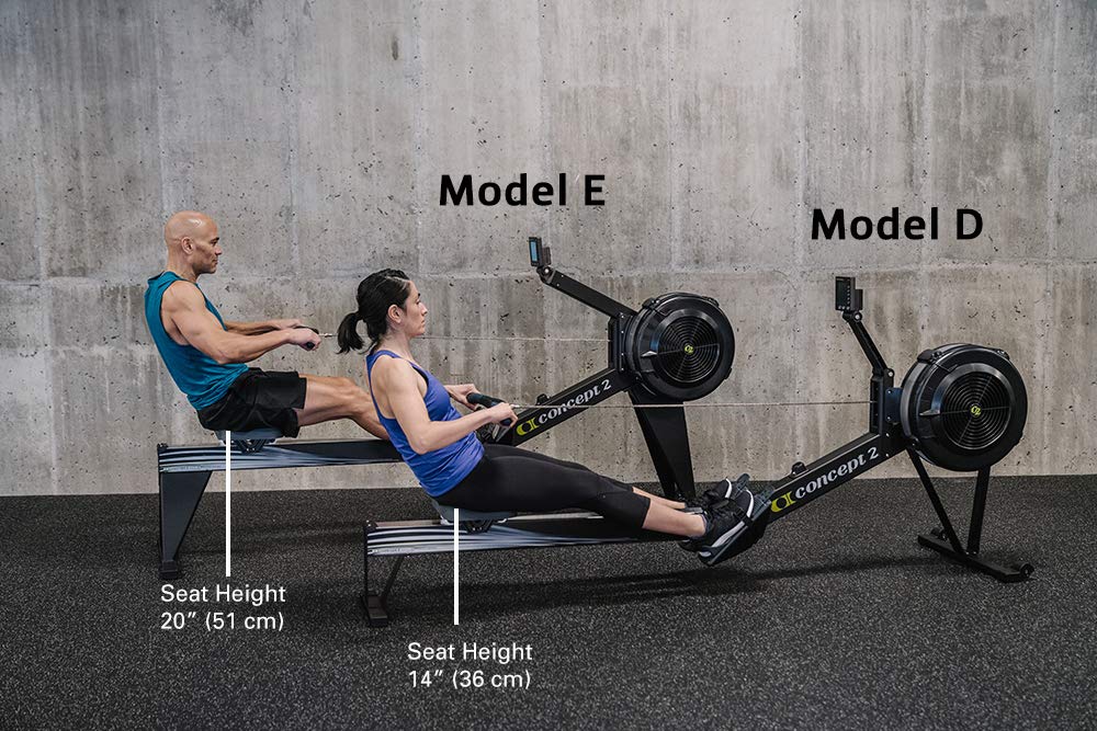 Model D vs Model E